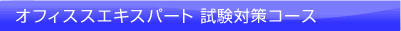 オフィスエキスパート　試験対策コース