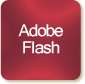 Adobe Flash